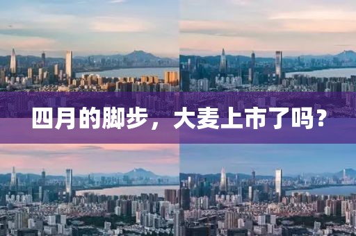 忘你需用命 第3页