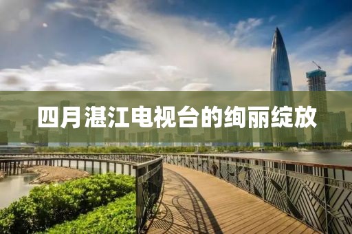 四月湛江电视台的绚丽绽放