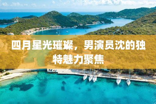 四月星光璀璨，男演员沈的独特魅力聚焦