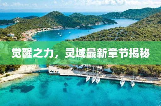 觉醒之力，灵域最新章节揭秘