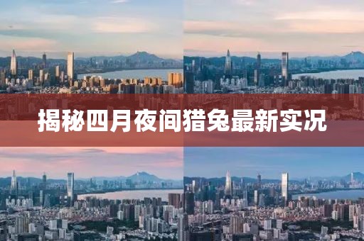 揭秘四月夜间猎兔最新实况