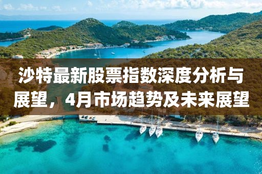 魅影风随 第3页