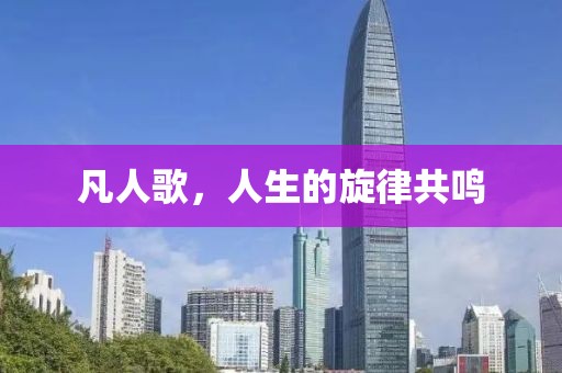 凡人歌，人生的旋律共鸣