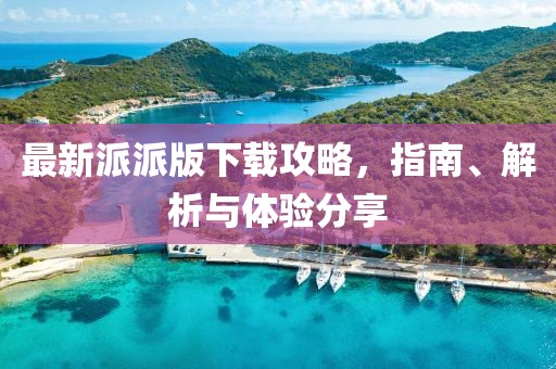最新派派版下载攻略，指南、解析与体验分享