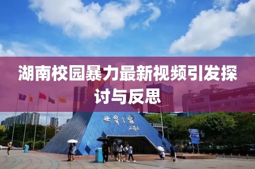 湖南校园暴力最新视频引发探讨与反思