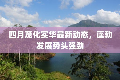 四月茂化实华最新动态，蓬勃发展势头强劲