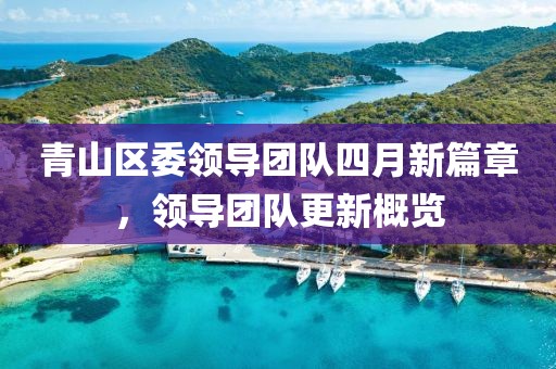 青山区委领导团队四月新篇章，领导团队更新概览