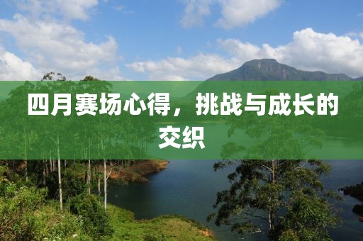 四月赛场心得，挑战与成长的交织