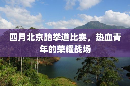 四月北京跆拳道比赛，热血青年的荣耀战场