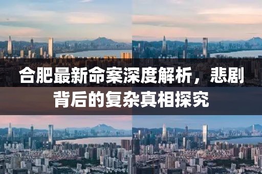 合肥最新命案深度解析，悲剧背后的复杂真相探究