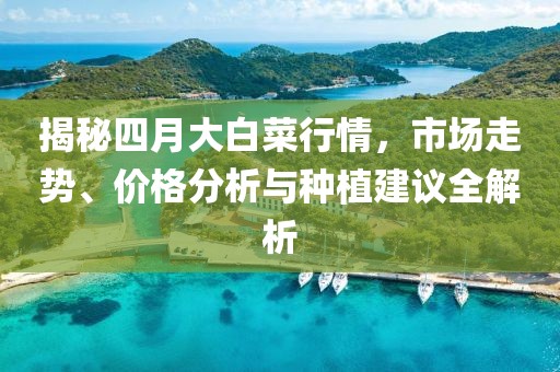 揭秘四月大白菜行情，市场走势、价格分析与种植建议全解析