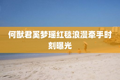 何猷君奚梦瑶红毯浪漫牵手时刻曝光