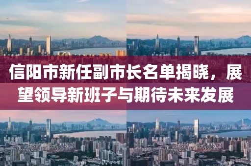 信阳市新任副市长名单揭晓，展望领导新班子与期待未来发展
