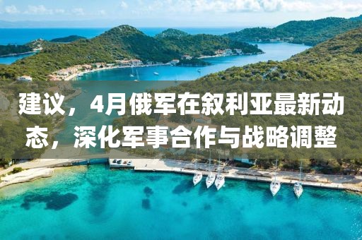 建议，4月俄军在叙利亚最新动态，深化军事合作与战略调整