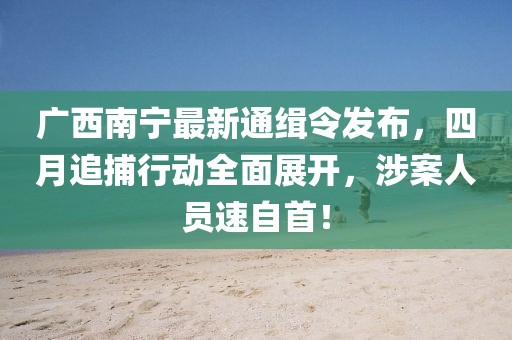 广西南宁最新通缉令发布，四月追捕行动全面展开，涉案人员速自首！