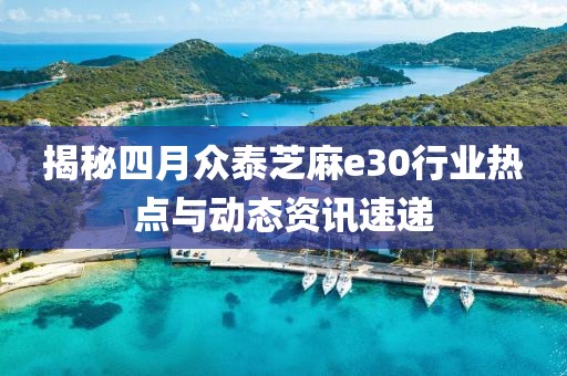 揭秘四月众泰芝麻e30行业热点与动态资讯速递