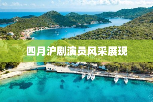 四月沪剧演员风采展现