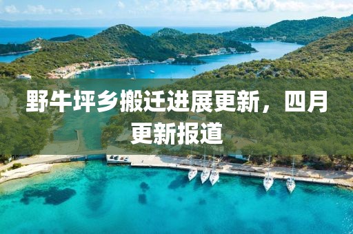 野牛坪乡搬迁进展更新，四月更新报道