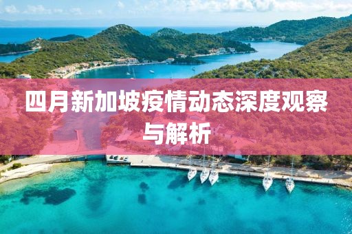 四月新加坡疫情动态深度观察与解析