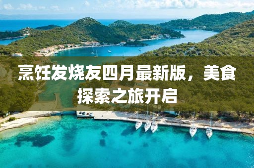 烹饪发烧友四月最新版，美食探索之旅开启