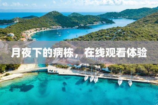 月夜下的病栋，在线观看体验