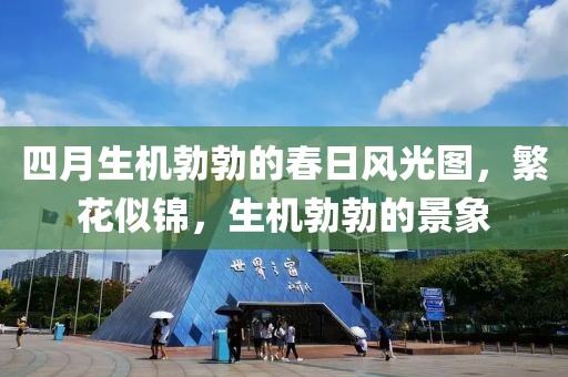 教育教学检测和评价活动 第20页
