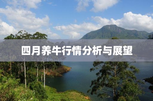 四月养牛行情分析与展望