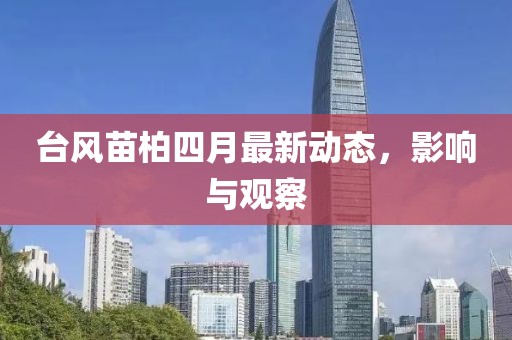台风苗柏四月最新动态，影响与观察