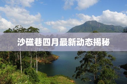 沙磁巷四月最新动态揭秘