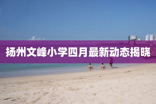 扬州文峰小学四月最新动态揭晓