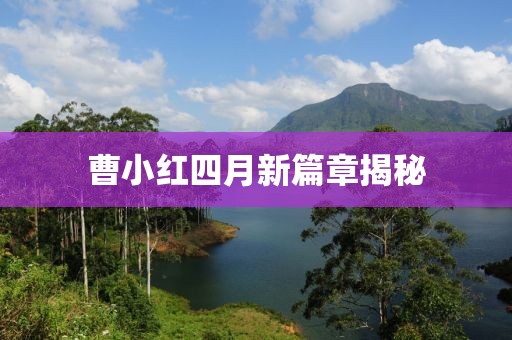 曹小红四月新篇章揭秘