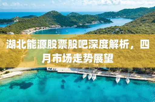 湖北能源股票股吧深度解析，四月市场走势展望
