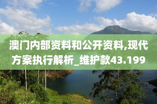 澳门内部资料和公开资料,现代方案执行解析_维护款43.199