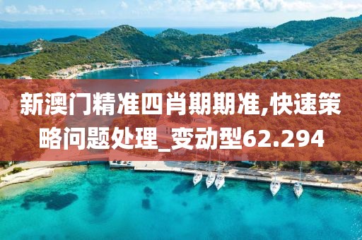新澳门精准四肖期期准,快速策略问题处理_变动型62.294