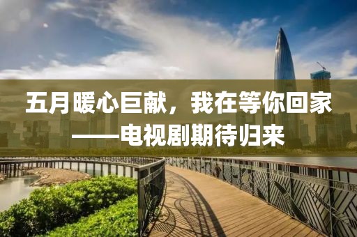 五月暖心巨献，我在等你回家——电视剧期待归来