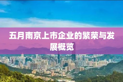 五月南京上市企业的繁荣与发展概览
