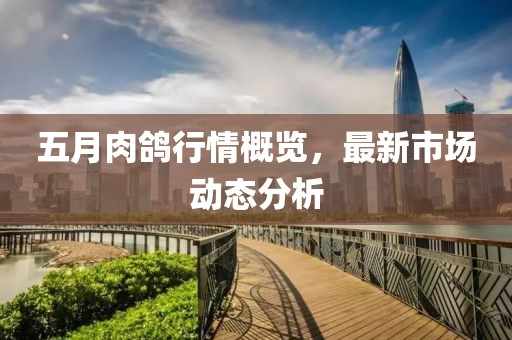 五月肉鸽行情概览，最新市场动态分析