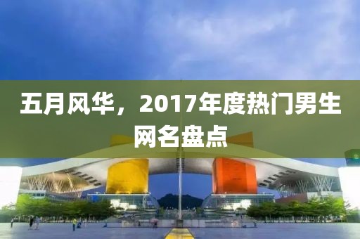 两把枪闯天下