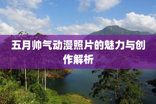 五月帅气动漫照片的魅力与创作解析
