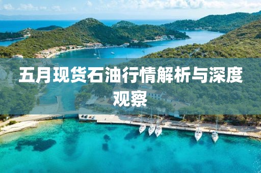 五月现货石油行情解析与深度观察