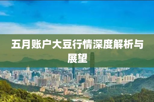 五月账户大豆行情深度解析与展望