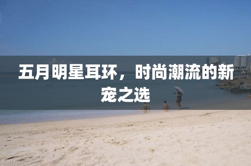 五月明星耳环，时尚潮流的新宠之选