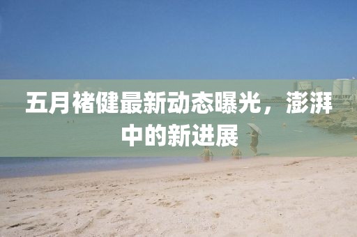 五月褚健最新动态曝光，澎湃中的新进展