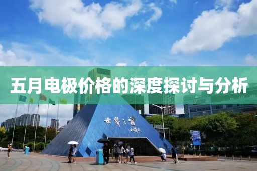 五月电极价格的深度探讨与分析