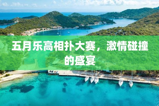 五月乐高相扑大赛，激情碰撞的盛宴
