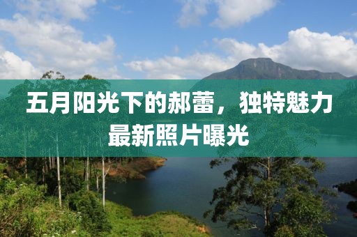 五月阳光下的郝蕾，独特魅力最新照片曝光