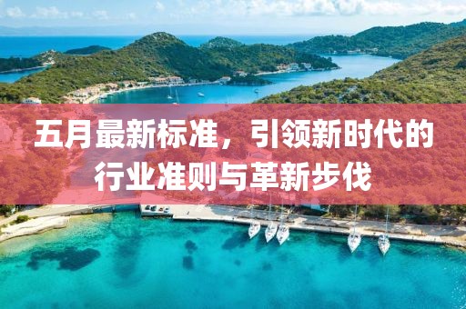 五月最新标准，引领新时代的行业准则与革新步伐