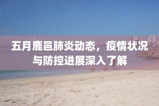 五月鹿邑肺炎动态，疫情状况与防控进展深入了解