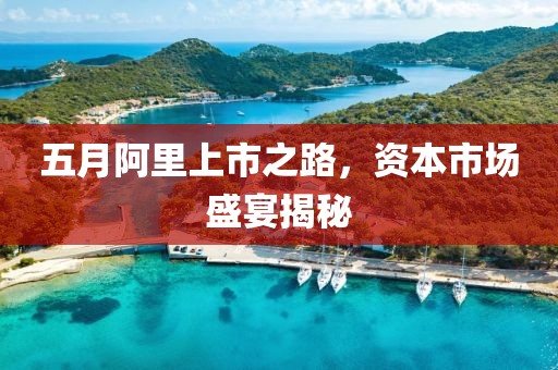 五月阿里上市之路，资本市场盛宴揭秘