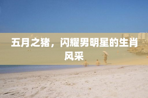五月之猪，闪耀男明星的生肖风采